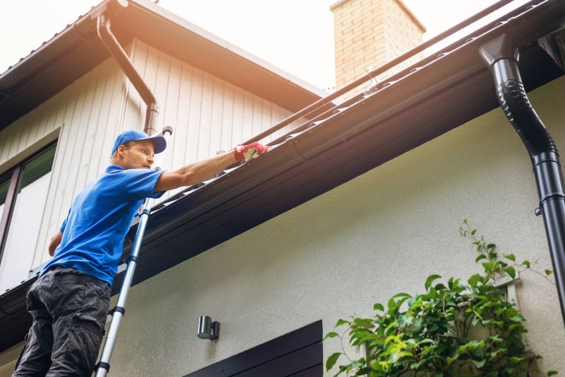 Gutter Maintenance and Inspection